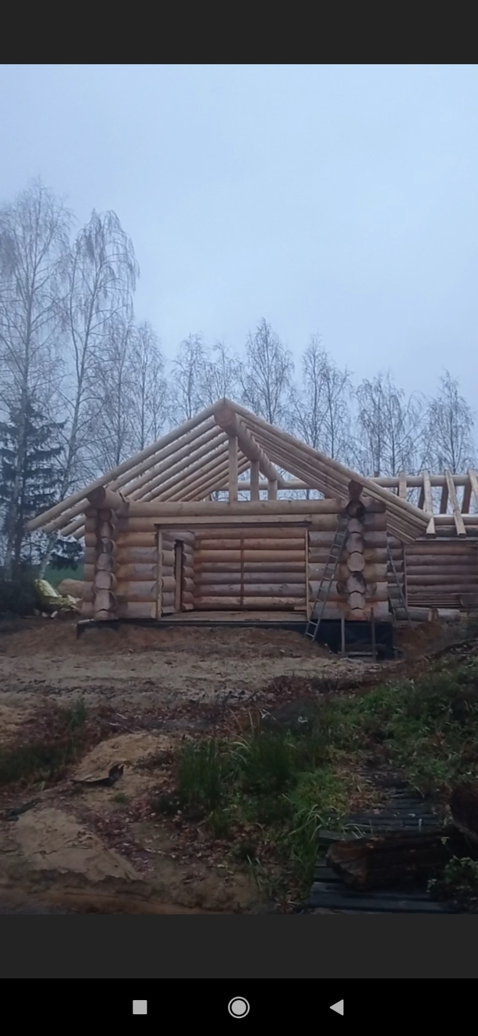 Surowy stan budowy domu z bali, widoczne drewniane ściany i konstrukcja dachu na tle drzew bez liści, drabina oparta o ścianę. Etap budowy.