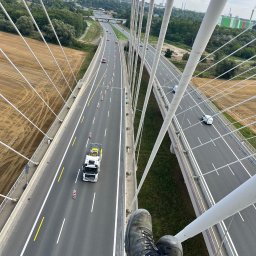 Wycinka drzew Siepraw 4