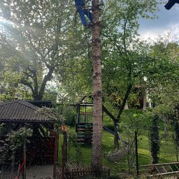 Alpine RS ROBERT SŁABAK - Arborysta w kasku i kombinezonie tnie wysokie drzewo piłą łańcuchową, zabezpieczony linami. Wokół leżą gałęzie i wióry, w tle zielony ogród z altaną i placem zabaw.