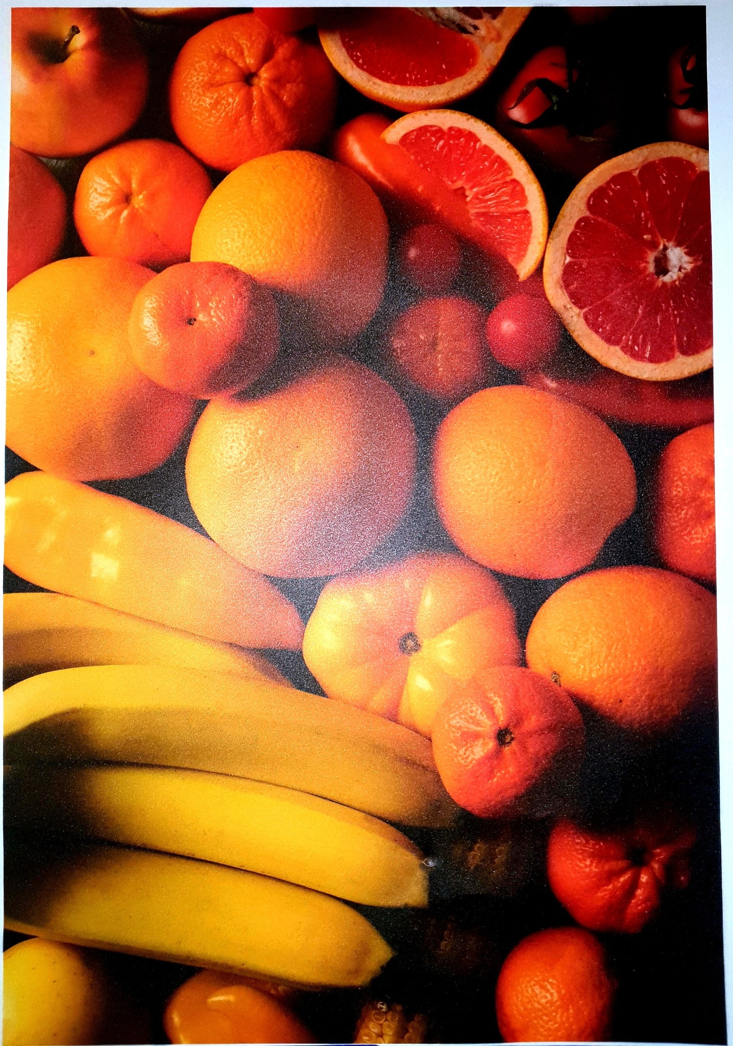 Martwa natura z owoców cytrusowych i bananów w ciepłej tonacji. Pomarańcze, mandarynki, grejpfruty i banany tworzą apetyczną kompozycję.