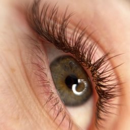 Przedłuzanie rzęs Ansty Lashes & Beauty Bar