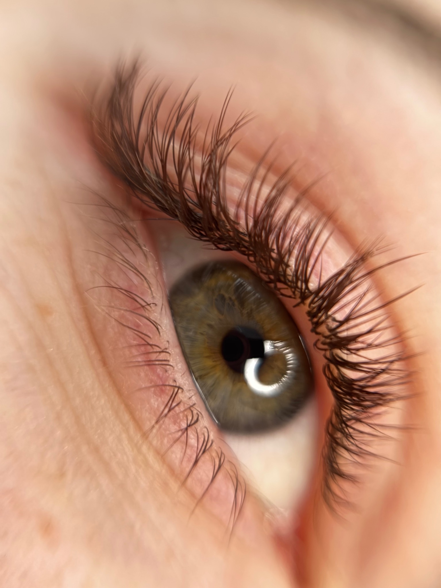 Przedłuzanie rzęs Ansty Lashes & Beauty Bar