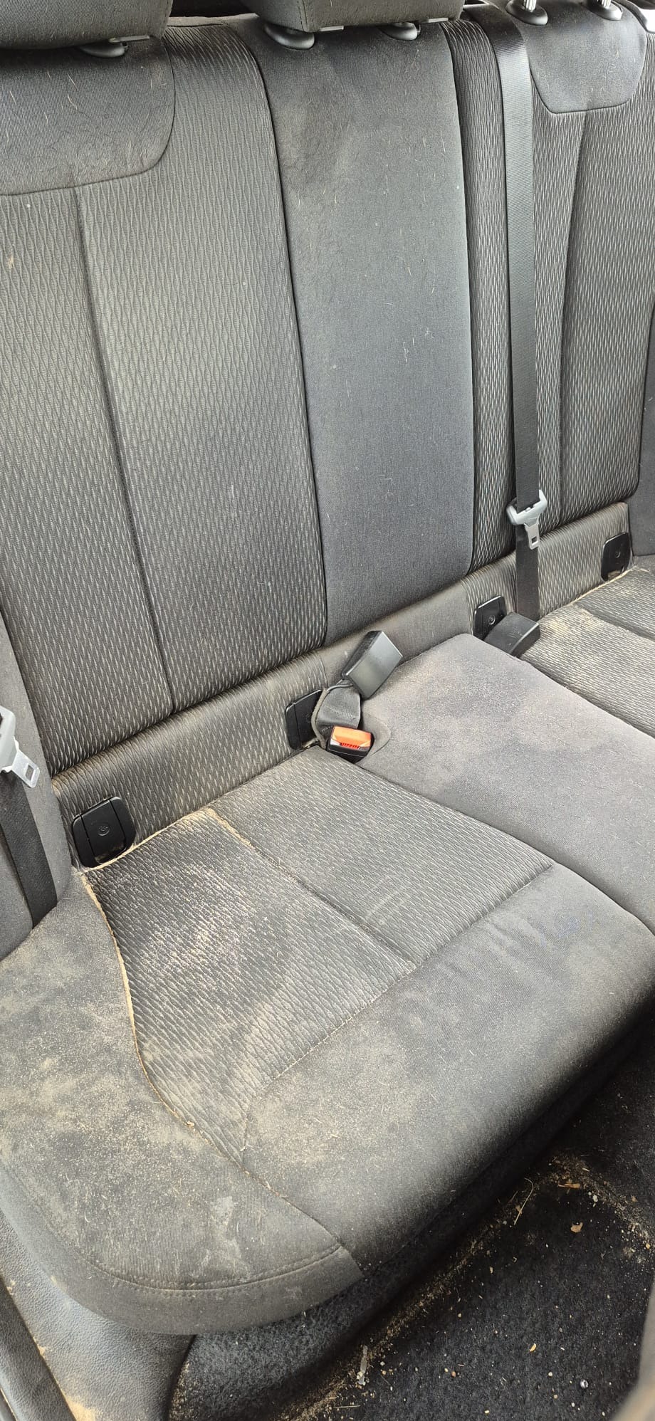 Brudna, szara tapicerka tylnej kanapy samochodowej z widocznymi plamami i zabrudzeniami, pasy bezpieczeństwa. Widok z góry na zanieczyszczone siedzenie.