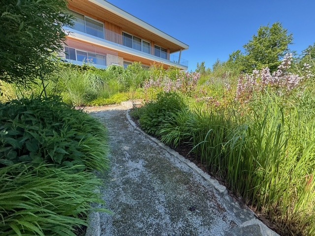 Nowoczesny dom z drewnianą elewacją i dużymi oknami, otoczony bujnym ogrodem z kamienną ścieżką. Błękitne niebo w tle.