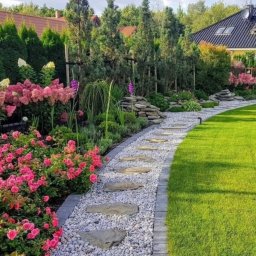 Wycinka drzew Warszawa 1