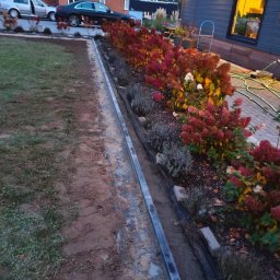 Złota rączka Marynowy 1