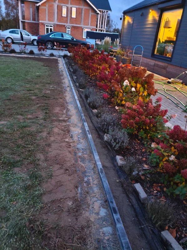 Krawężnik z kostki brukowej oddzielający trawnik od rabaty z hortensjami w jesiennych barwach. W tle domy i samochody. Widok z poziomu gruntu.