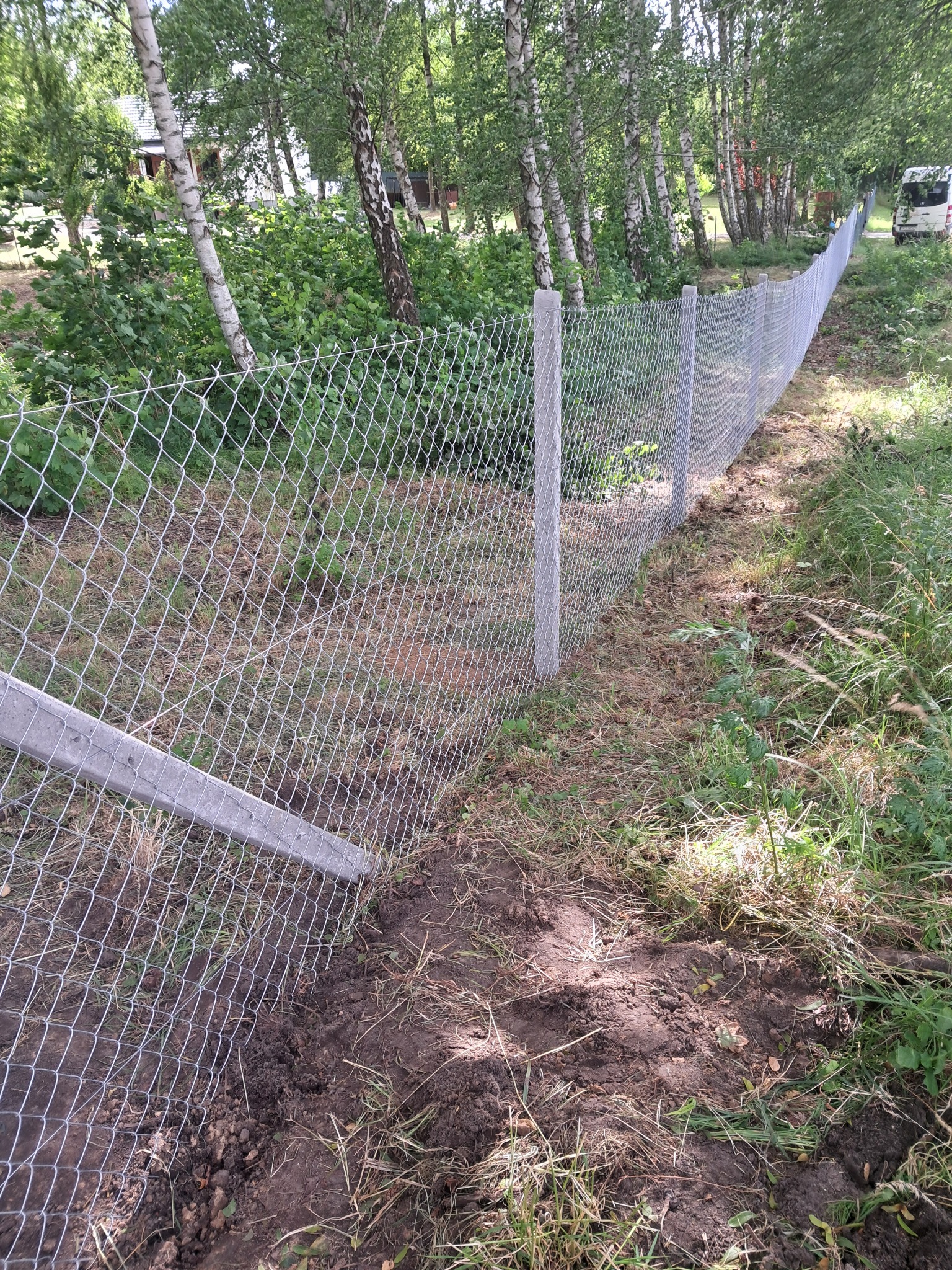 Długi, nowy płot z siatki ogrodzeniowej, rozciągający się wzdłuż granicy działki, z widocznymi betonowymi słupkami i zielenią w tle. Ujęcie z bliska.