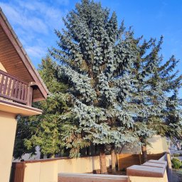 TRZYNASTKA ADRIAN SZCZECHOWSKI - Prace działkowe Wałcz