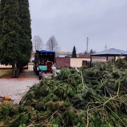 TRZYNASTKA ADRIAN SZCZECHOWSKI - Stos gałęzi przed przyczepą z rozdrabniaczem na posesji. Widoczne tuje i inne drzewa. Pochmurne niebo.