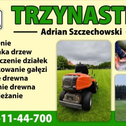 Wycinka drzew Wałcz 1