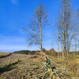 TRZYNASTKA ADRIAN SZCZECHOWSKI - Pracownik w zielonym kombinezonie tnie gałęzie piłą spalinową na tle błękitnego nieba i drzew bez liści. Widoczne ścięte pnie i pole w oddali.
