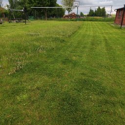 TRZYNASTKA ADRIAN SZCZECHOWSKI - Połowa trawnika po koszeniu, druga część zarośnięta. W tle siatka do siatkówki, huśtawki i sterta drewna. Widok na zadbany ogród po koszeniu trawy.