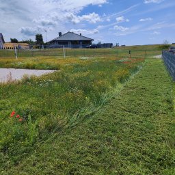 TRZYNASTKA ADRIAN SZCZECHOWSKI - Świeżo skoszony pas trawy w Wałczu, kontrastujący z łąką pełną polnych kwiatów. Widoczny dom w tle i fragment ogrodzenia. Słoneczny dzień.