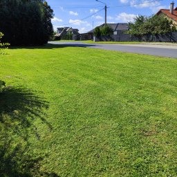 TRZYNASTKA ADRIAN SZCZECHOWSKI - Soczysta, zielona trawa na posesji, widok z poziomu gruntu. W tle domy jednorodzinne i ulica. Cień drzewa w lewym dolnym rogu dodaje głębi.