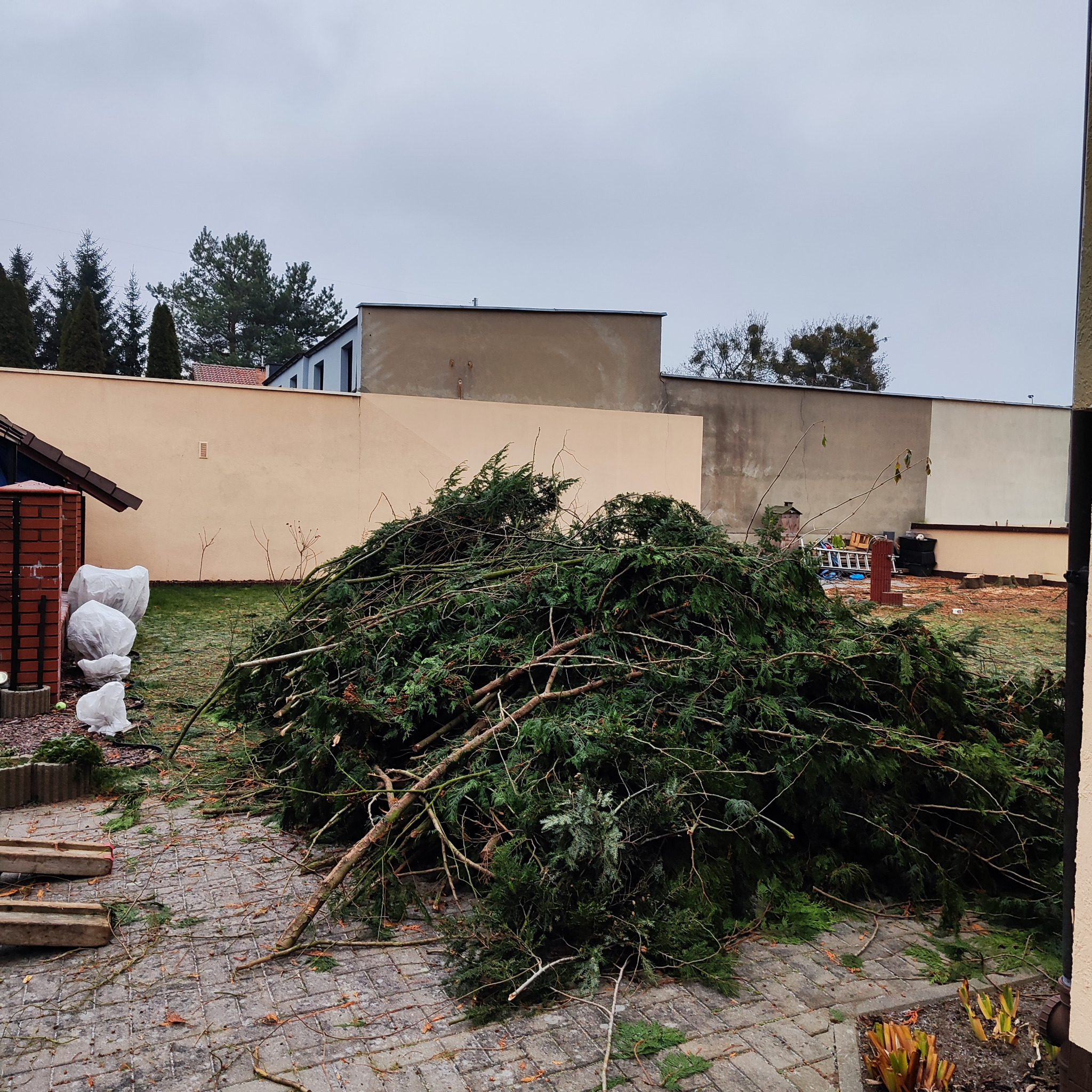Stos gałęzi i ściętych drzew iglastych na kostce brukowej, po wycince. W tle budynki i drzewa. Pochmurne niebo. Widok z poziomu gruntu.