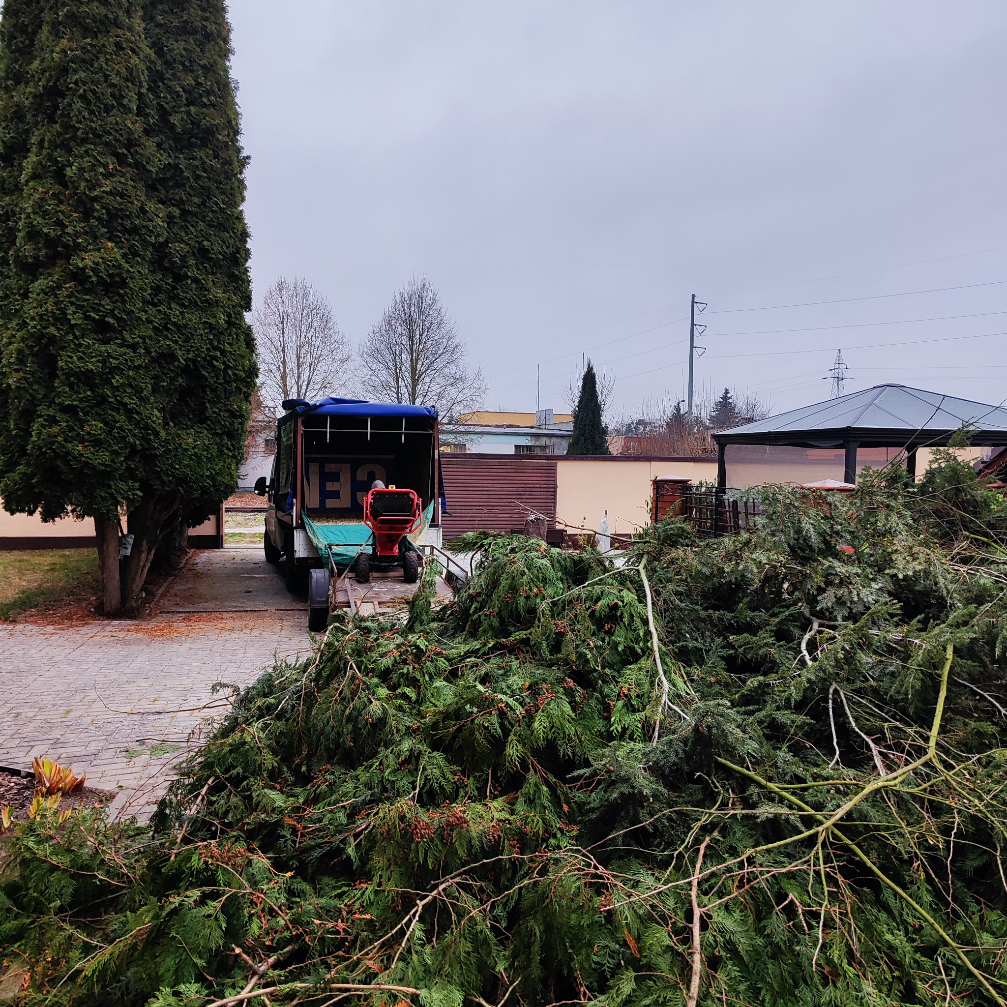 Stos gałęzi przed przyczepą z rozdrabniaczem na posesji. Widoczne tuje i inne drzewa. Pochmurne niebo.
