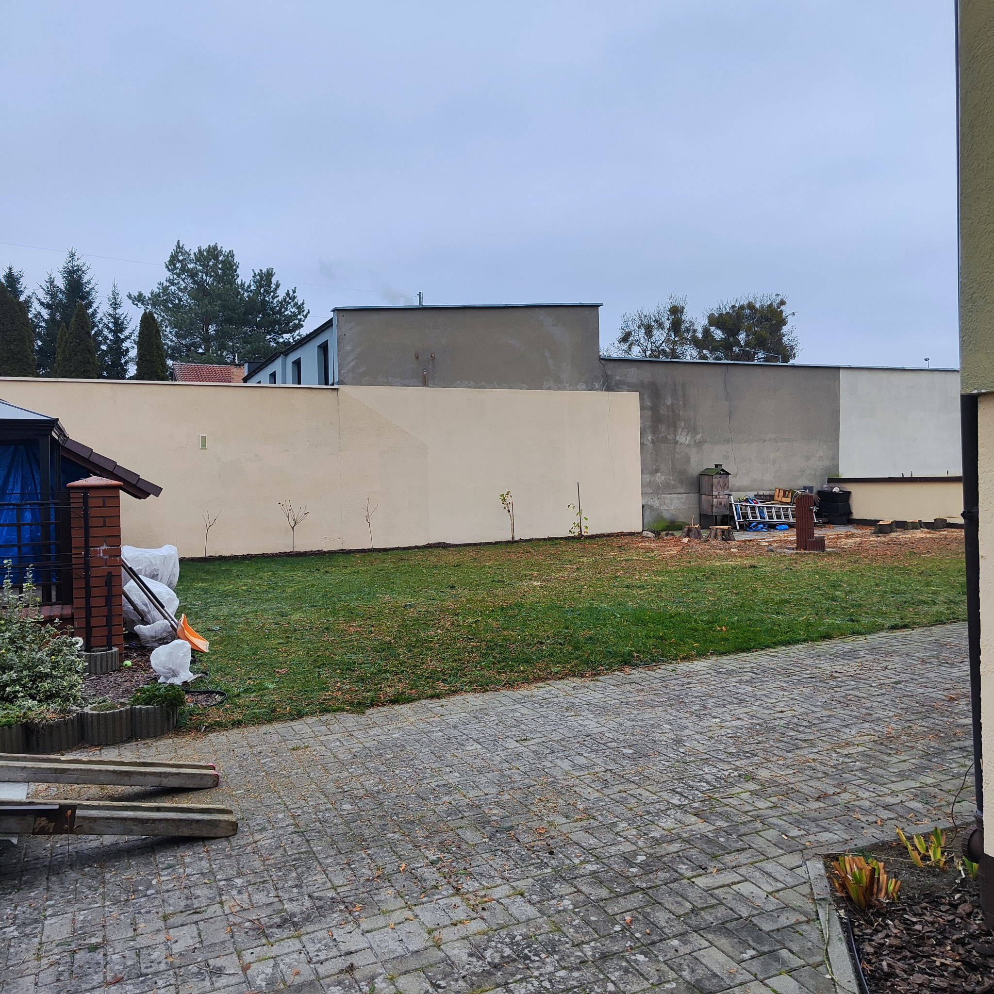 Ogród po wycince drzew: widoczne pnie, młode drzewka wzdłuż muru, narzędzia ogrodnicze i worki. Brukowany chodnik prowadzi do trawnika. Pochmurne niebo.