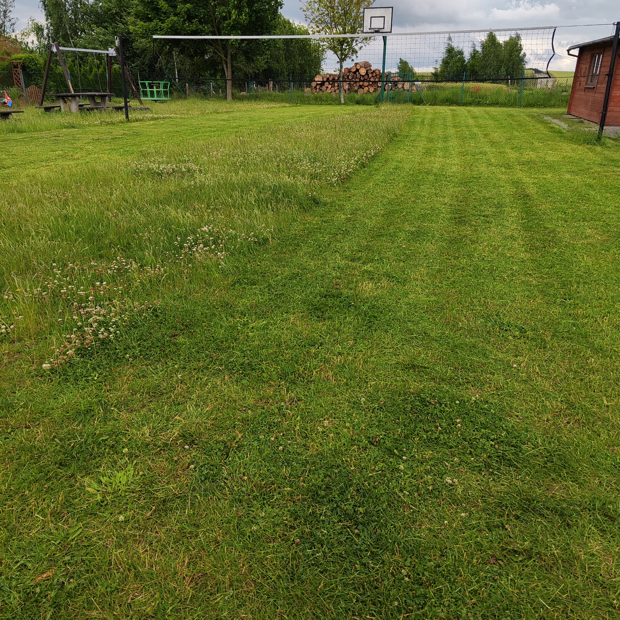 Połowa trawnika po koszeniu, druga część zarośnięta. W tle siatka do siatkówki, huśtawki i sterta drewna. Widok na zadbany ogród po koszeniu trawy.