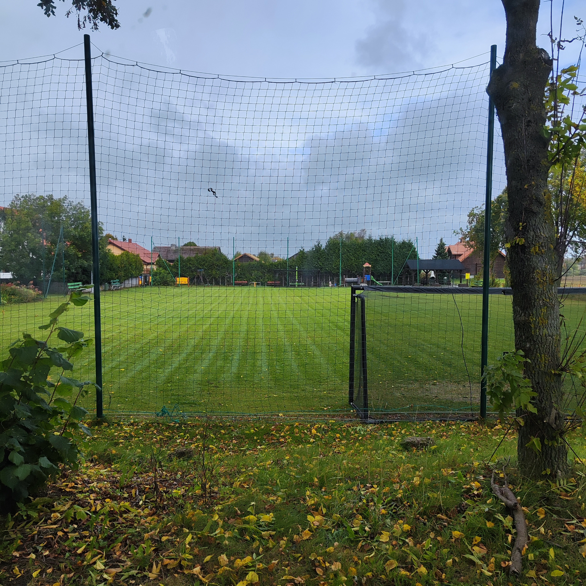 Równomiernie skoszona trawa na boisku sportowym, widoczna przez siatkę ogrodzeniową. W tle zabudowania i drzewa, pochmurne niebo. Jesienne liście na pierwszym planie.