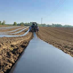 AGRIMPEX SPÓŁKA Z OGRANICZONĄ ODPOWIEDZIALNOŚCIĄ - Rozkładanie agrowłókniny na polu uprawnym za pomocą traktora. Widoczne rzędy przykrytej ziemi i pracujący ludzie. Błękitne niebo w tle.
