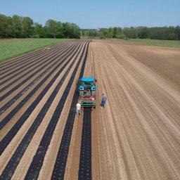 AGRIMPEX SPÓŁKA Z OGRANICZONĄ ODPOWIEDZIALNOŚCIĄ - Rozkładanie agrowłókniny na polu uprawnym za pomocą traktora. Widok z góry ukazuje równe rzędy czarnej folii i dwóch pracowników obsługujących maszynę.