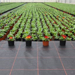 Utwardzanie drogi Jarosław 2