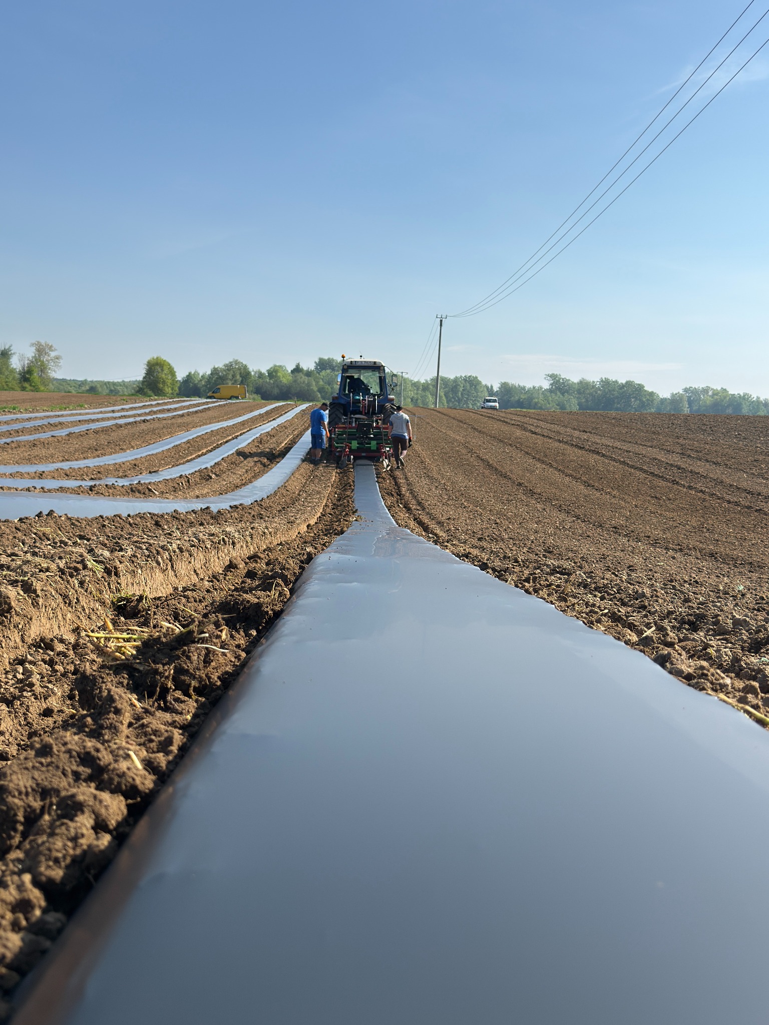 Rozkładanie agrowłókniny na polu uprawnym za pomocą traktora. Widoczne rzędy przykrytej ziemi i pracujący ludzie. Błękitne niebo w tle.