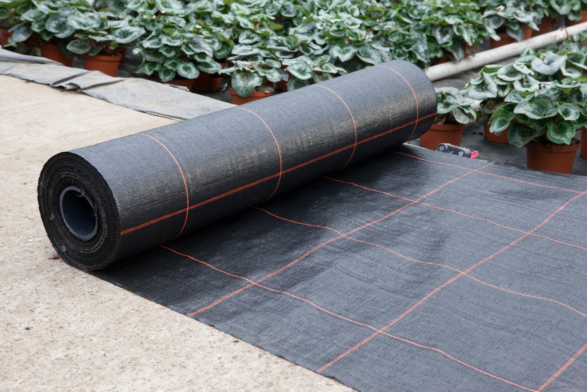 Rolka czarnej agrotkaniny z pomarańczową siatką na betonowej powierzchni, w tle doniczki z zielonymi roślinami w szklarni. Materiał do ściółkowania.