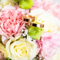 Studio4U - Zdjęcia Ślubne Sułkowice