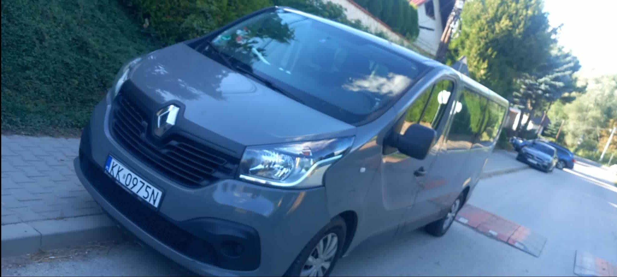 Szary bus Renault Trafic z numerem rejestracyjnym KK 0975N, zaparkowany na ulicy w pochmurny dzień. Widoczne drzewa i inne pojazdy w tle.