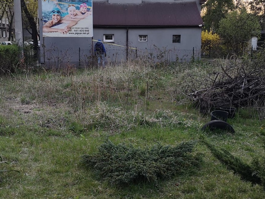 Zarośnięty teren z wysoką trawą i stertą gałęzi, ogrodzony siatką. W tle budynek i reklama. Osoba w oddali, prawdopodobnie podczas prac porządkowych.
