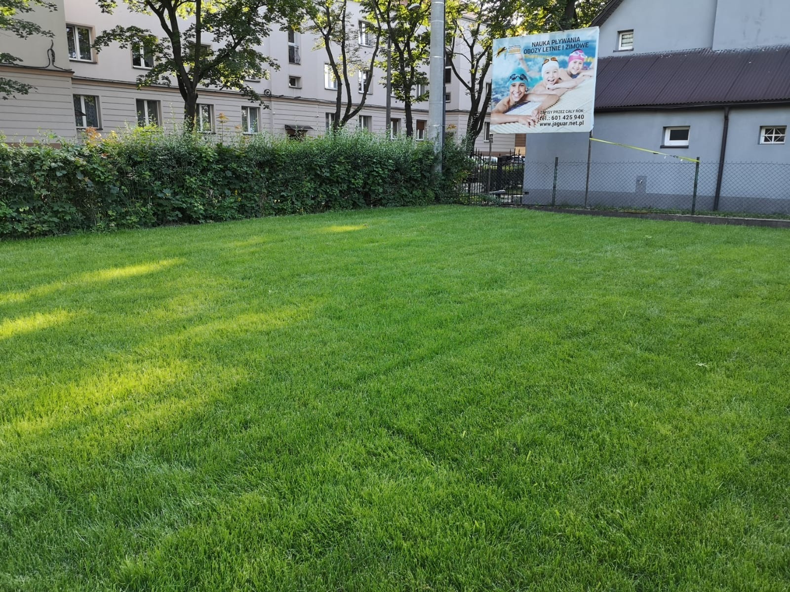 Zadbany trawnik przed budynkiem z żywopłotem i reklamą szkoły pływania w tle. Krótko przystrzyżona, soczysta zieleń trawy. Słoneczne refleksy na powierzchni.