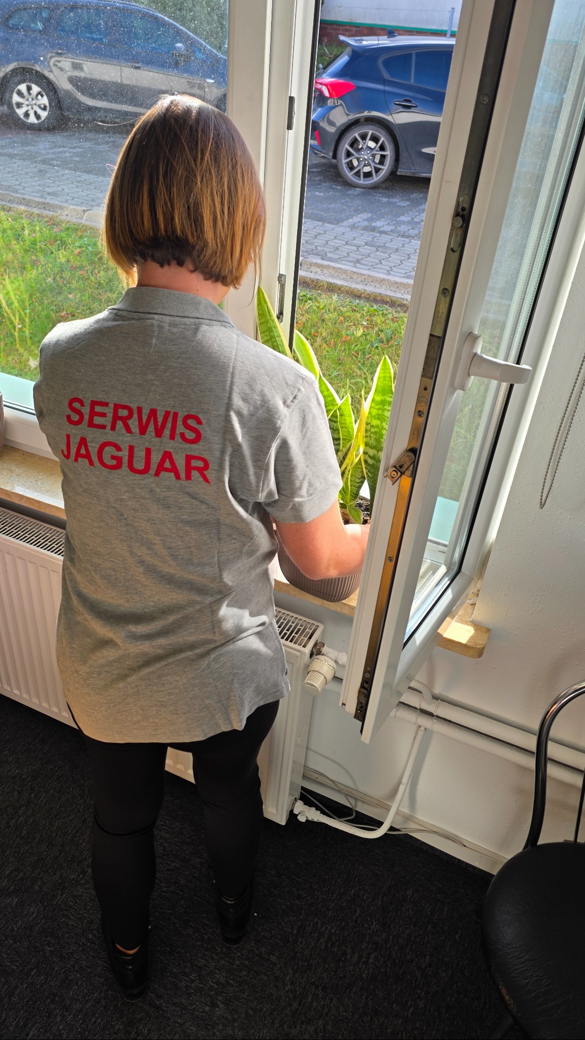 Osoba w szarej koszulce z napisem 'Serwis Jaguar' otwiera okno, trzymając doniczkę z rośliną. Widok zza pleców, okno otwarte na zewnątrz, widoczny fragment ulicy.