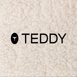 Region Projekt Weronika Galewska - Minimalistyczne logo 'TEDDY' w czerni, z symbolem w kształcie litery T w okręgu, na tle kremowej, teksturowanej tkaniny przypominającej wełnę.