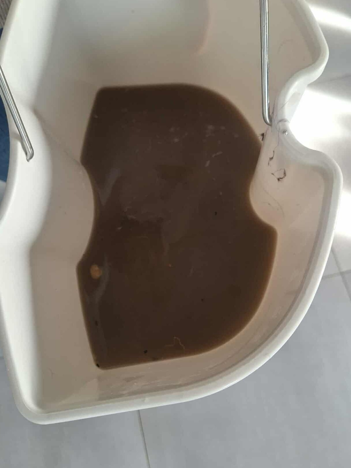 Brudna woda po praniu tapicerki w białym wiadrze, widoczne drobinki brudu i włosy. Ujęcie z góry, ostre światło podkreśla nieczystości.