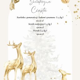 Catering świąteczny Łódź 2