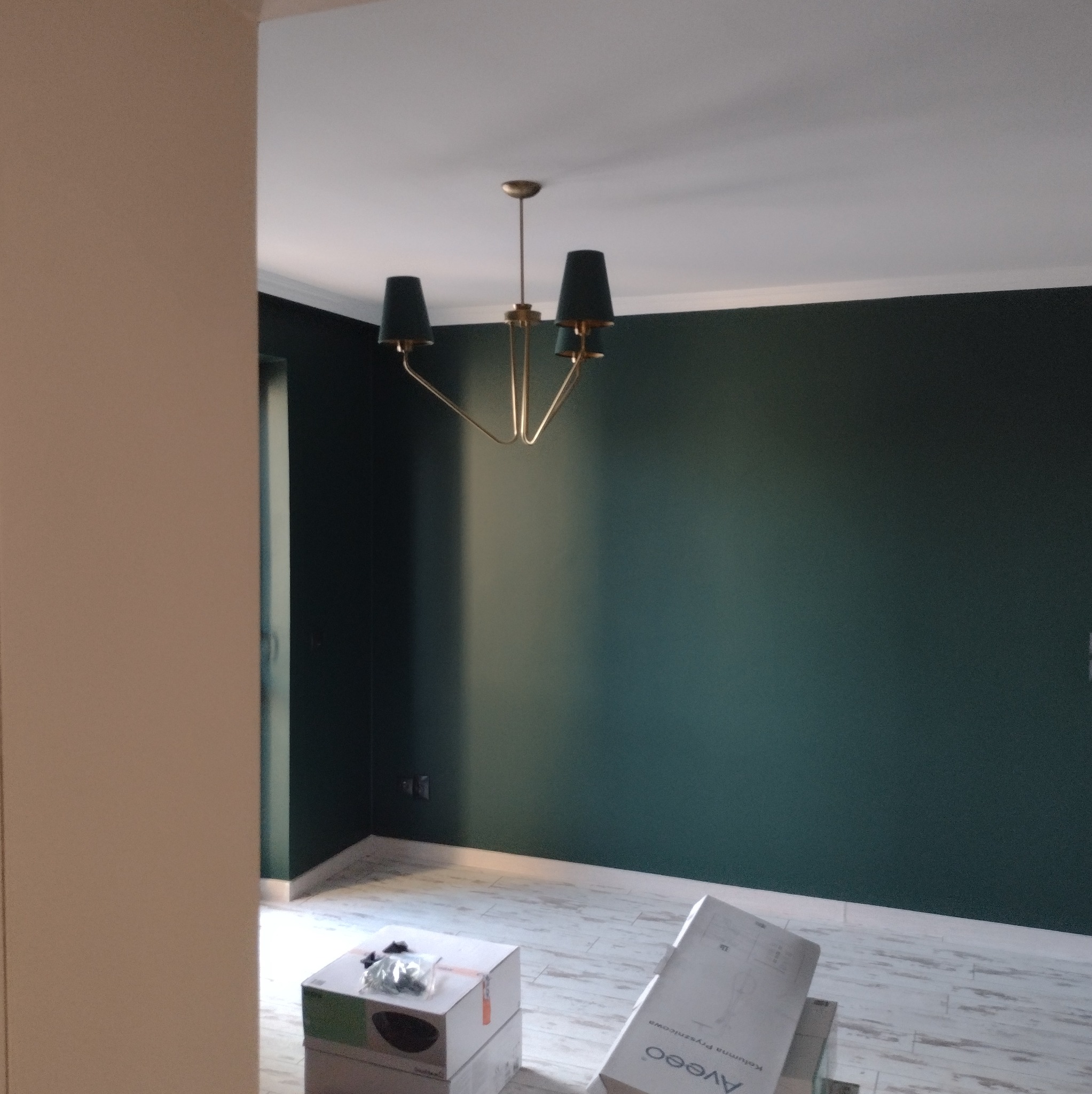 Pomieszczenie po malowaniu ścian na ciemnozielony kolor. Widoczny fragment ściany, sufit z lampą i podłoga. Na podłodze kartony z akcesoriami.