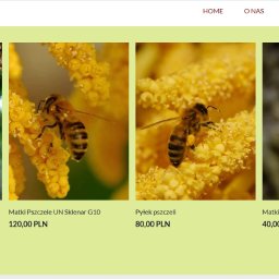 Wiktor Adamarek - Zrzut ekranu strony internetowej z ofertą sprzedaży produktów pszczelich: odkładów, matek pszczelich i pyłku, z widocznym koszykiem zakupowym.