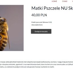Wiktor Adamarek - Strona internetowa sklepu z matkami pszczelimi NU Sklenar G10, widok z bliska na pszczołę na tle strony, z ceną i przyciskiem 'Dodaj do koszyka'.