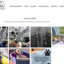 Strona Przychodni Weterynaryjnej Niki