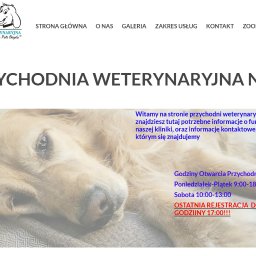 Tworzenie stron internetowych Mogilno 2