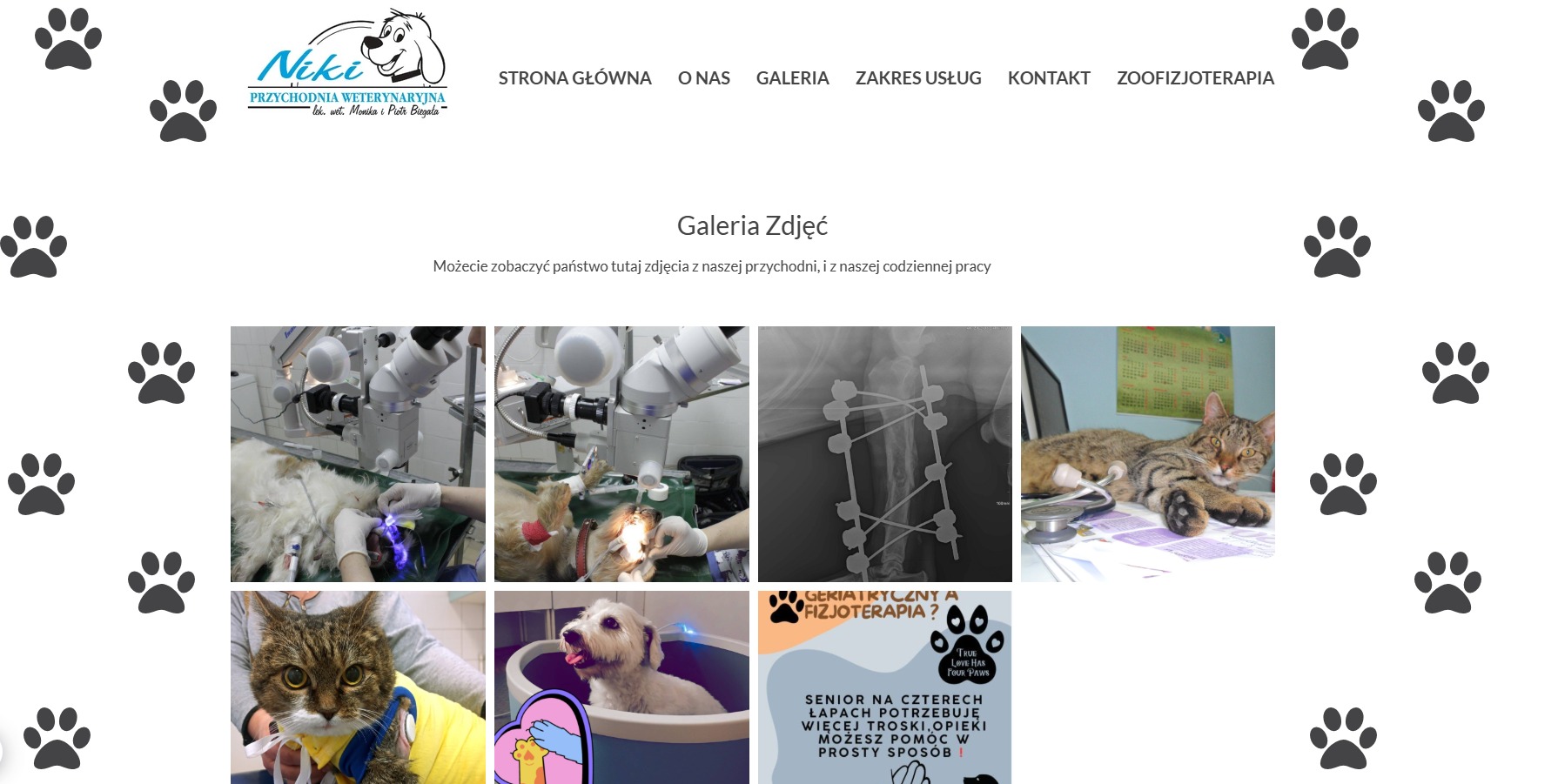 Strona Przychodni Weterynaryjnej Niki