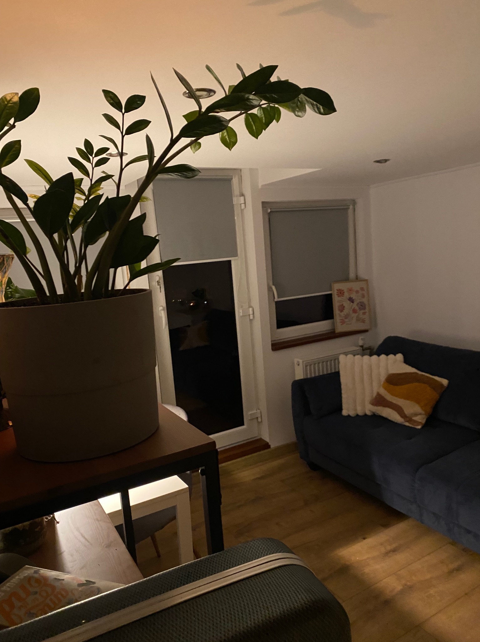 Stylowe wnętrze pokoju z ciemną sofą, drewnianą podłogą i zieloną rośliną w doniczce na stoliku. Widoczne okno z roletą i dekoracyjny obrazek na ścianie.