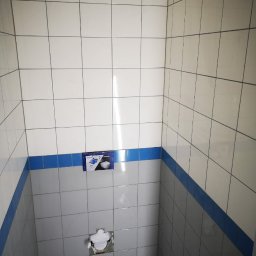 Glazurnik Kowala Stępocina 4