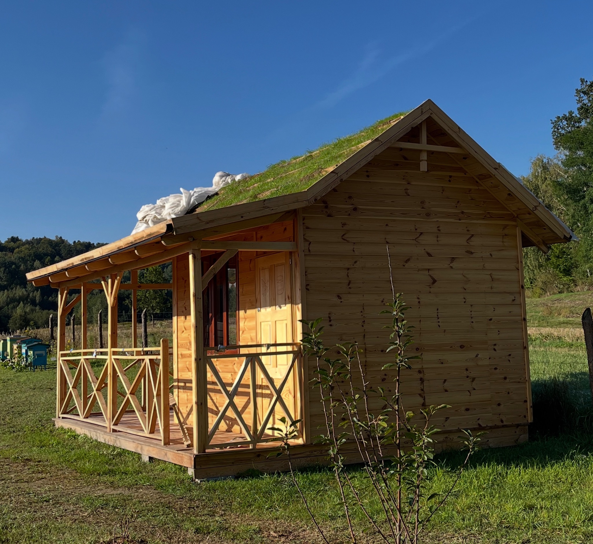 Domek letniskowy z drewna, z zielonym dachem porośniętym trawą, na tle błękitnego nieba i zieleni. Widoczna weranda z drewnianą balustradą.