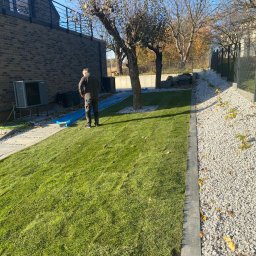 GREEN CRAFT - Świeżo założony trawnik z widocznym systemem nawadniania pod folią, obok ścieżka z białego kamienia i drzewa. Prace ogrodnicze w nowoczesnym ogrodzie.