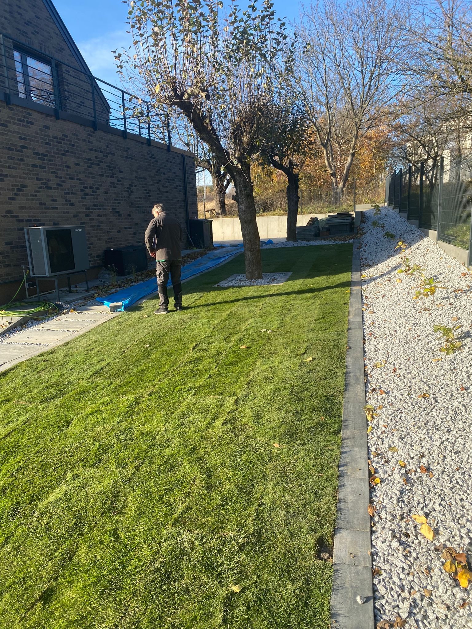 Świeżo założony trawnik z widocznym systemem nawadniania pod folią, obok ścieżka z białego kamienia i drzewa. Prace ogrodnicze w nowoczesnym ogrodzie.