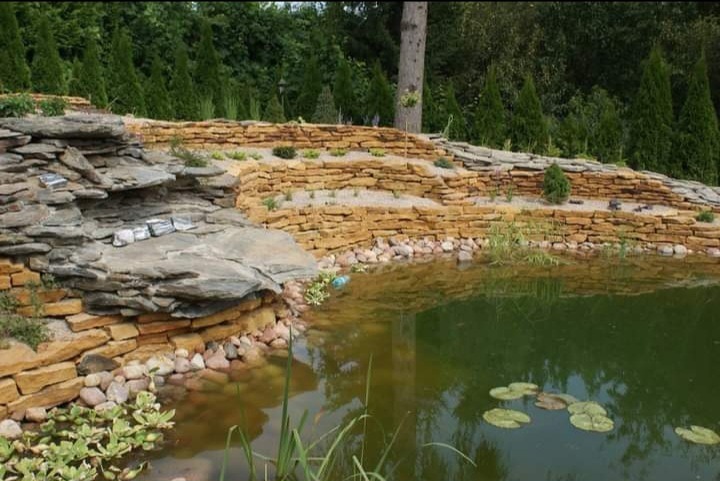Oczko wodne z kaskadą i kamiennym brzegiem, otoczone roślinnością i kamienną ścianą. W tle widoczne drzewa iglaste.