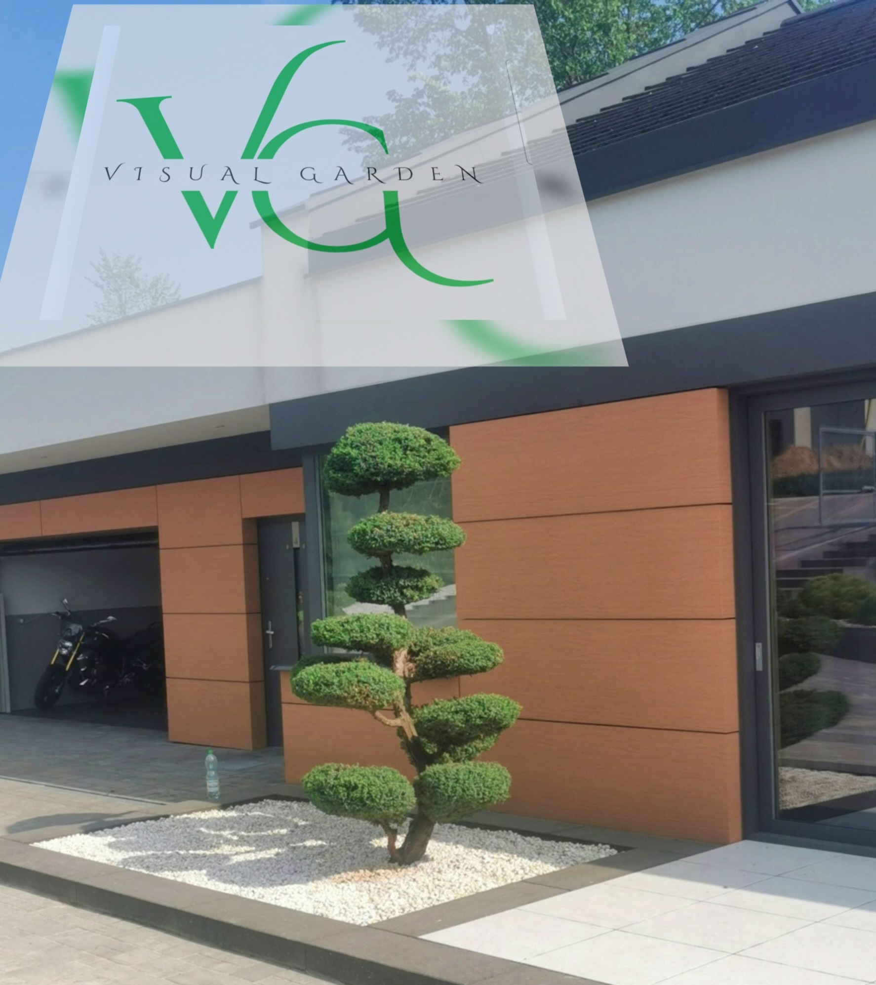 Formowana tuja na tle nowoczesnego domu z garażem. Białe kamienie dekoracyjne wokół drzewka. Minimalistyczny ogród.